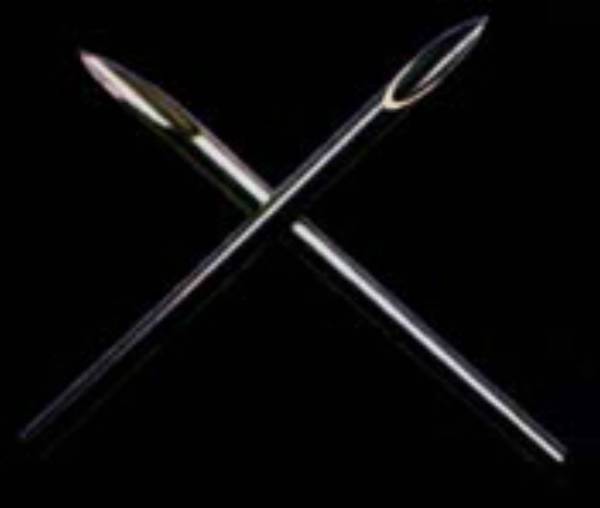 PioneerTop - Male Dominant, Los Angeles/SFV. California | BDSM Profile on Collarspace