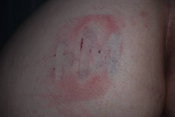 aymelekMT - Female Submissive, Bedford | BDSM Profile on Collarspace - photo 3